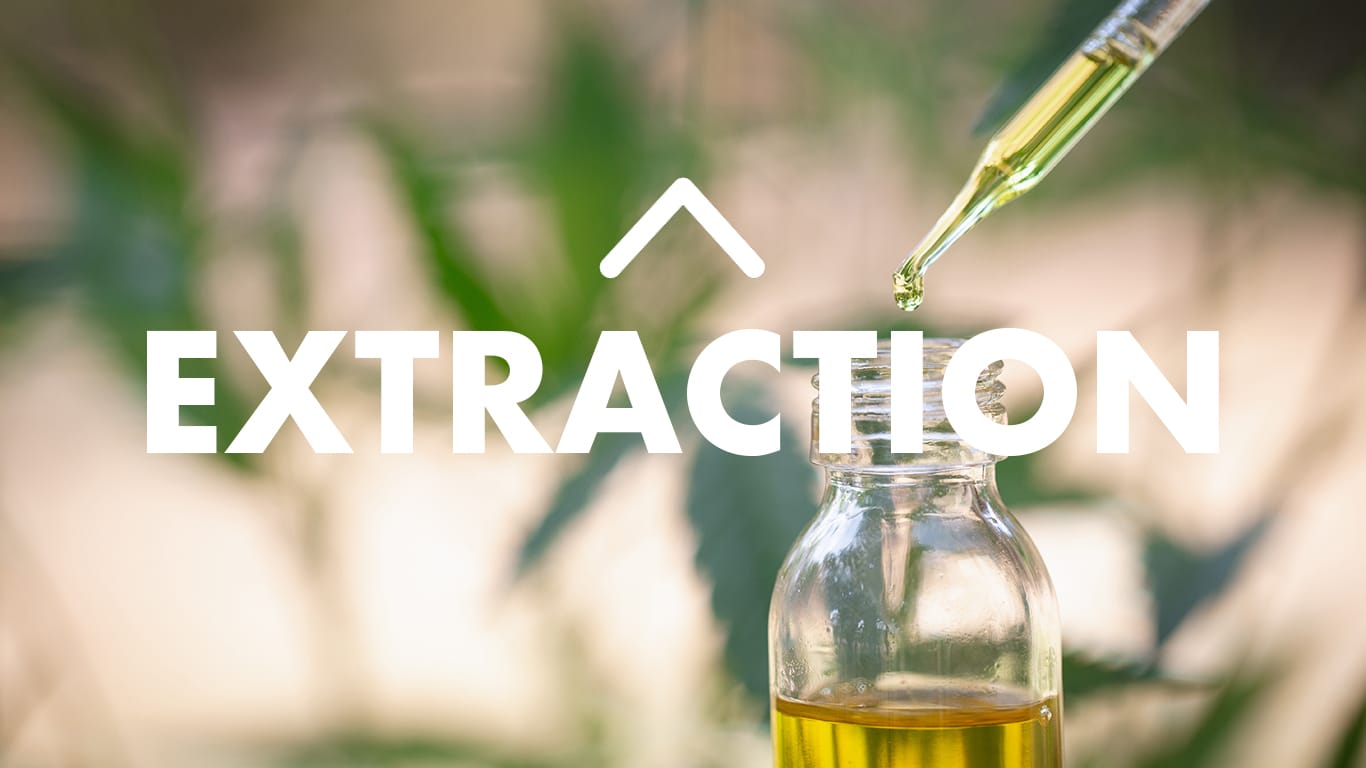 CBD Extraction Methods: Getting CBD From Hemp | Upstate Elevator