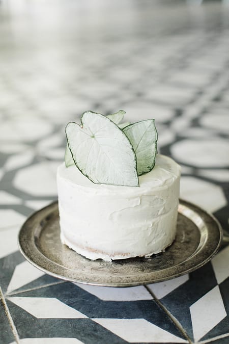 A simple modern cake decoration of green and white foliage leaves on a single tiered white wedding cake, with a silver platter and black and white tiling designed by Nectar and Root, Vermont wedding florist.